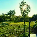 Villa Stancija Negricani Divsici