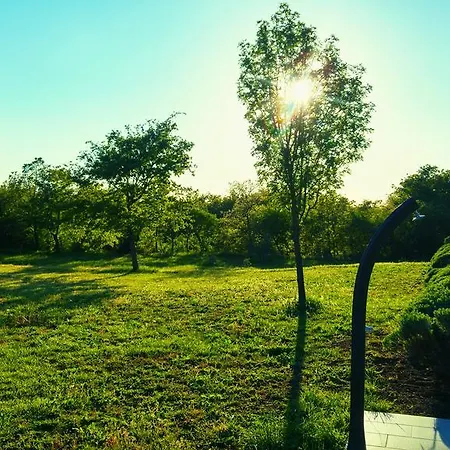 Villa Stancija Negricani Divšići